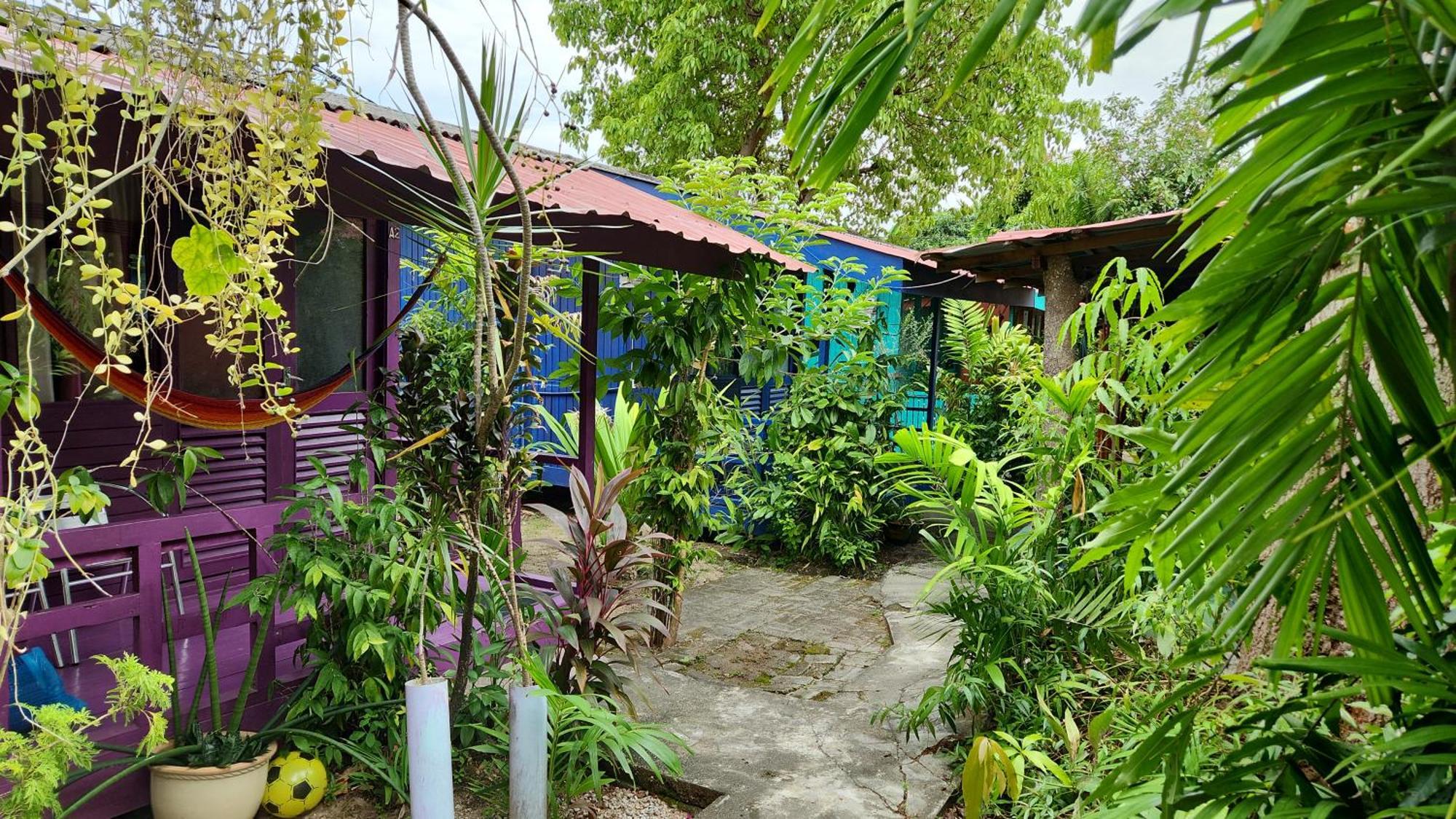 Gecko Guesthouse Pantai Cenang  Exterior foto
